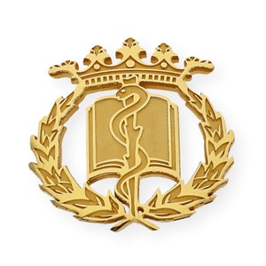 Pin Medicina Insignia Profesional Plata de Ley 925, Oro 18K, Insignia Dorada, Regalo de Graduación, Emblema Profesional, Hecho a Mano imagen 1