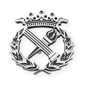 Philosophy Pin, Gift for Philosopher, Philosophy Emblem, 925 Silver Pin, Philosophy Badge, Graduation Gift, Gift for Teacher