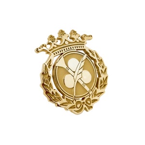 Audiovisual Communication Pin Professional Badge 925 Sterling Silver, 18K Gold, Gold Badge, Graduation Gift, Emblem, Handmade