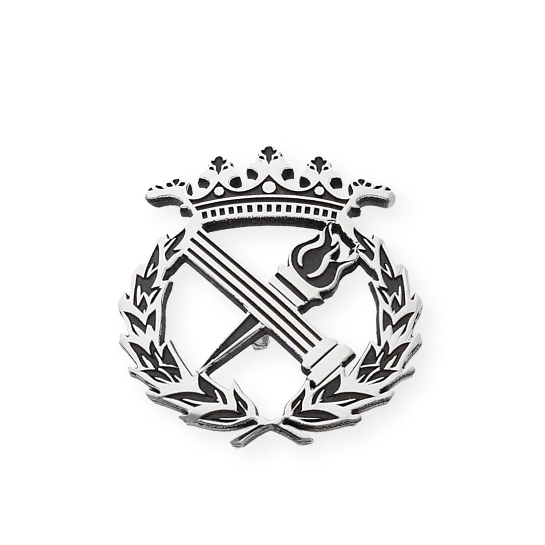 Philosophy Pin, Gift for Philosopher, Philosophy Emblem, 925 Silver Pin ...
