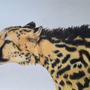 King Cheetah pastel portrait