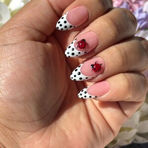 May include: Close-up of a hand with almond-shaped nails painted with a white base and black polka dots. The tips of the nails are painted with a white french tip. Two of the nails have a ladybug design.