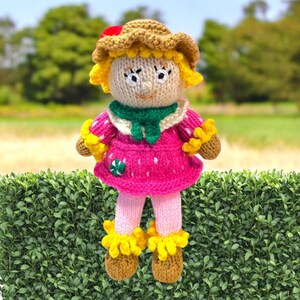 May include: A handmade knitted doll with a straw hat and a pink dress. The doll has yellow hair, a green scarf, and brown shoes. A red berry decorates the hat. The doll is standing in front of a green hedge.