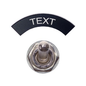 May include: A silver toggle switch with a black plastic label that says "TEXT" above it.