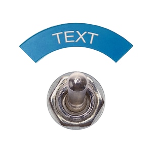 May include: A chrome toggle switch with a silver lever and a blue curved plate above it. The blue plate has the word "TEXT" in silver lettering. The switch is set against a white background.