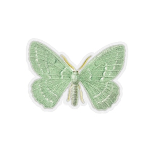 Emerald Moth Sticker, Moth Sticker, Sticker for Laptop, Phone, Journal US Travel Sticker