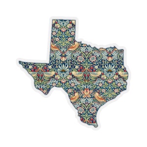 Texas State Strawberry Sticker • Vintage Pattern Art • Adesivo per laptop, telefono, diario • US Travel Sticker