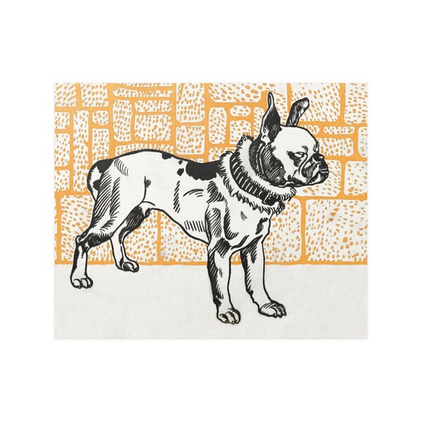 Pitbull Terrier Print •  Vintage Print •  Classical Art Print  •  Unframed Print