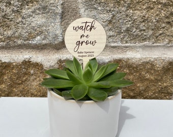 Watch Me Grow Succulent Plant Stakes, Succulent Tag, Baby Shower Favours, Baby Arrival, New Mum, Expecting Parent, Pregnancy