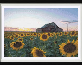 May include: A red barn sits in a field of sunflowers at sunset. The sunflowers are in full bloom and the sky is a soft blue with pink and orange clouds.