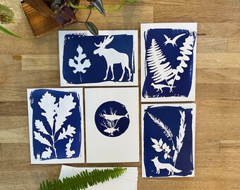 Cyanotype print greeting cards  - set of 5