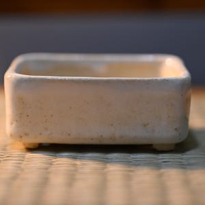 Handmade Ivory Rectangular Mini Bonsai Pot | Japanese Ceramic Mame Shohin Planter