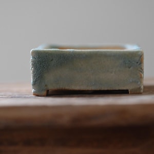 One-of-a-Kind Mini Bonsai Pot — Handmade in Miyazaki, Japan