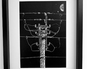 The Dark Forest / Handgedrukte Lincout / Limited Edition / Kunstdruk / Moderne muurkunst / Origineel kunstwerk / Afbeeldingen