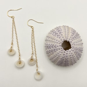 Puka Muschel Ohrringe