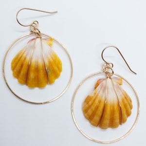 May include: A pair of gold-colored hoop earrings, each featuring a natural seashell pendant. The shells are a mix of yellow, orange, and white, with delicate wire detailing. The earrings have a simple hook closure.