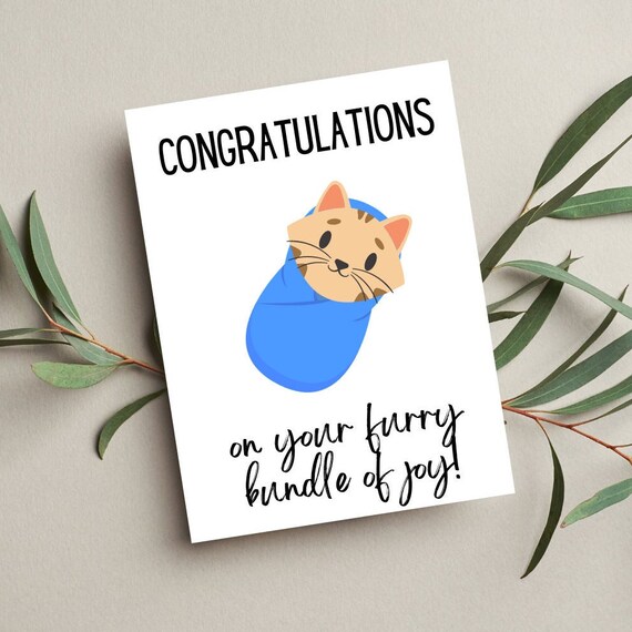 Cat Adoption Card New Cat Card New Kitten Gift Cat Etsy