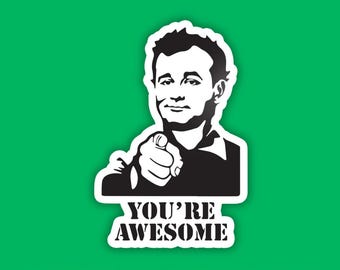 You're Awesome Sticker - Waterproof Vinyl Sticker