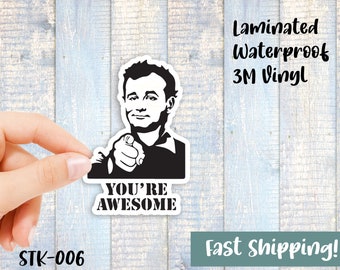 You're Awesome Sticker - Waterproof Vinyl Sticker