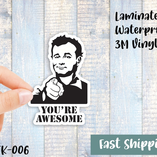 You're Awesome Sticker - Waterproof Vinyl Sticker