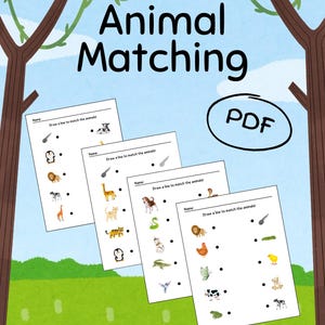 Animal Matching Worksheet Activity for Kids, Preschool, Children