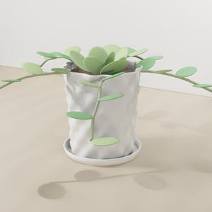 May include: A white ceramic planter with a textured, wavy surface and a matching saucer. The planter contains a decorative plant featuring light green, circular, flat leaves arranged on thin stems that extend outward from the center.