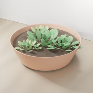 May include: A round, light peach-colored bowl filled with dark brown sand and multiple light green, flat, oval-shaped plant-like cutouts arranged in clusters. The bowl has smooth, sloped sides and a wide, open top, displaying a uniform matte finish.