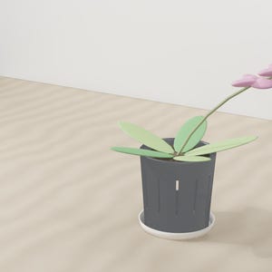 May include: A dark gray cylindrical plant pot with vertical drainage slits, resting on a white circular saucer. A small plant with light green oval leaves and a single thin stem topped with soft pink flower petals emerges from the center.