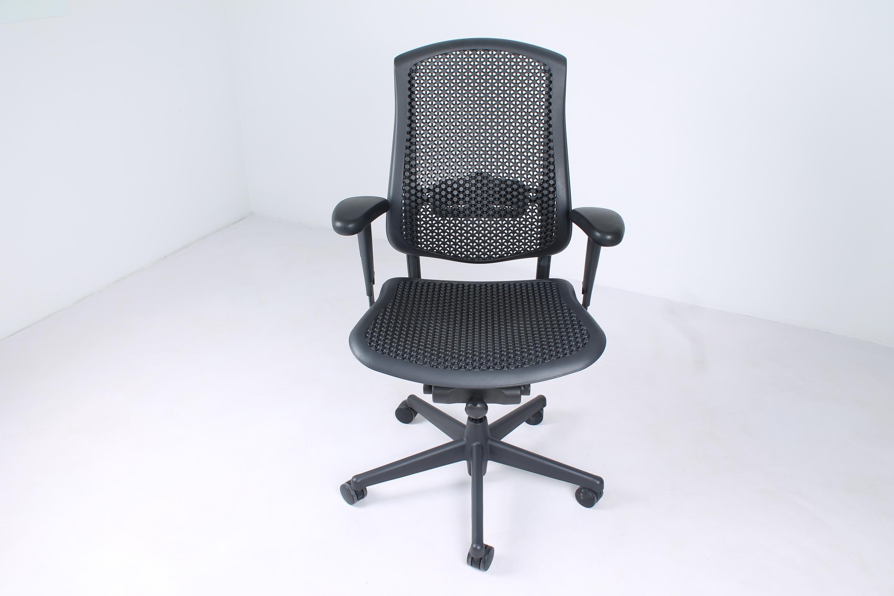 Celle chair discount
