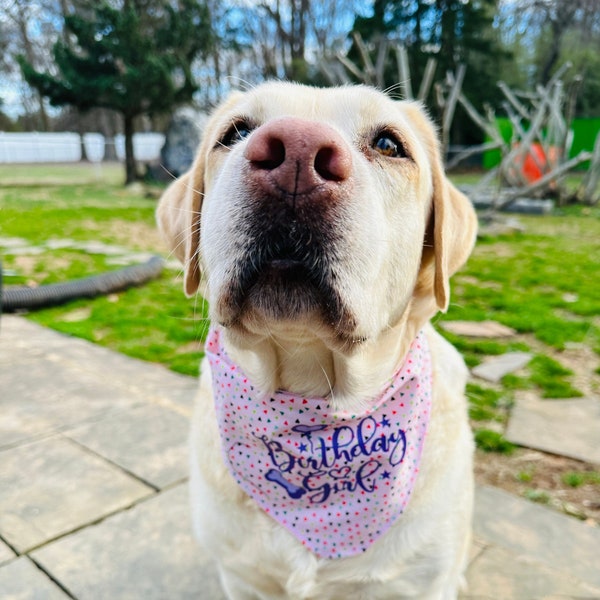 birthday girl multicolor confetti dog, triangular tie on cat bandana, new puppy birthday bandana, pink and purple ,