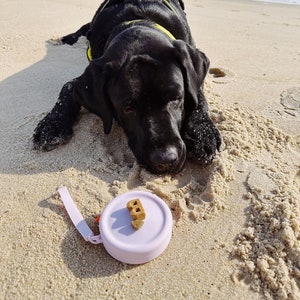 Small silicone waterproof dog treat bag holder with wrist strap, portable pouch to hook in leash or purse, small wristlet pouch, dog trainin