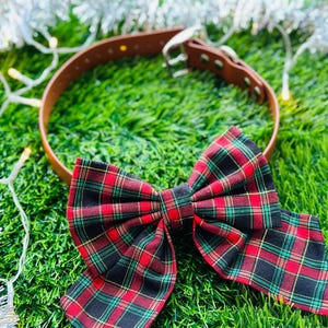 May include: A brown leather dog collar with a red, black, and green tartan bow tie. The bow tie is attached to the collar, which has a silver buckle. The collar is on a green grass background.