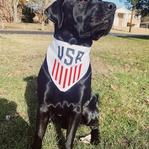 May include: A black dog wearing a white bandana with red stripes and the word "USA" printed on it. The dog is sitting on green grass.