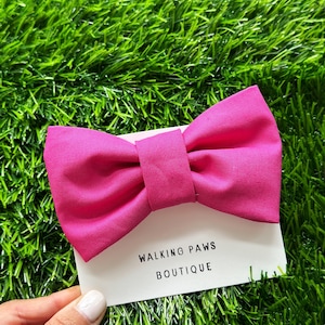 May include: A bright pink bow tie with a white tag that reads "Walking Paws Boutique".