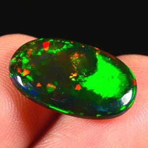 May include: A polished, oval-shaped black opal gemstone. The opal displays vibrant flashes of green, red, and orange colors throughout its surface. The gemstone is held between fingers against a dark background.