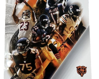 Annuaire de football des Chicago Bears 2015