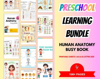 Human Anatomy Body Parts Worksheet Creative Busy Book Printable Preschool Worksheets Curriculum  Homeschool