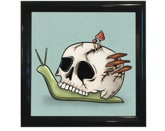 Skull Snail Fine Art Print 8"x8"