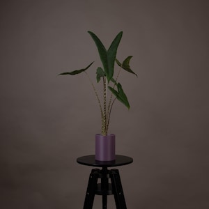Übertöpfe für runde Aroid-Töpfe / planter for round aroid pots