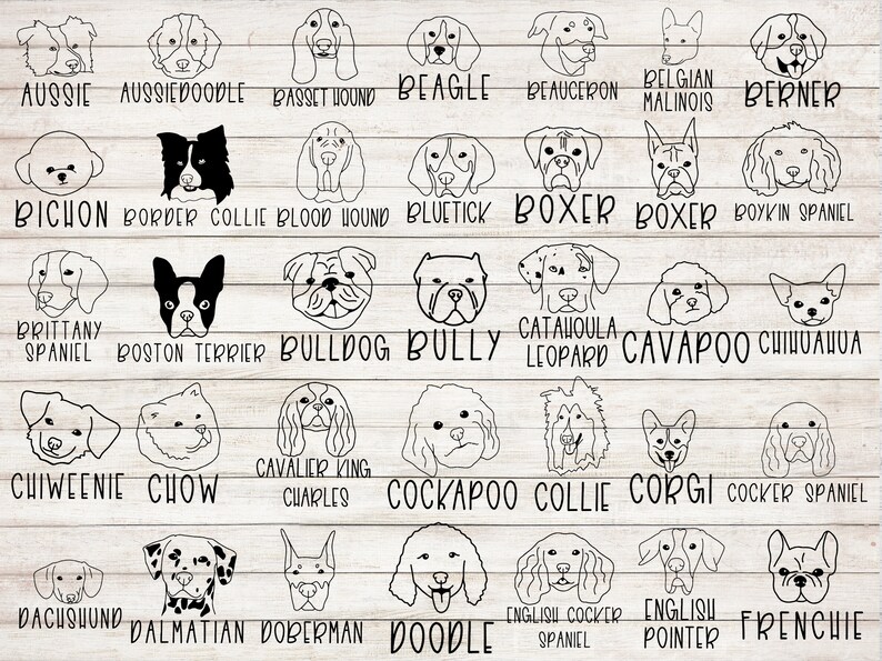 Pu&ograve; includere: Disegni in bianco e nero di varie razze di cani, tra cui Australian Shepherd, Beagle, Boxer, Bulldog, Cavalier King Charles Spaniel, Cocker Spaniel, Corgi, Bassotto, D&aacute;lmata, Dobermann, Barboncino, Bulldog Francese e altro ancora.