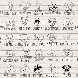 Pu&ograve; includere: Un grafico con illustrazioni in bianco e nero di diverse razze di cani. Ogni razza &egrave; etichettata con il suo nome, tra cui Fox Terrier, Dogue de Bordeaux, Pastore Tedesco, Golden Retriever, Pastore dei Pirenei, Levriero, Bracco Tedesco a Pelo Corto, Bichon Havanais, Wheller, Husky, Jack Russel, Lhasa Apso, Labrador, Teckel a Pelo Lungo, Malamute, Maltese, Maltipoo, Mastino, Mini Foxy, Min Pin, Elkhound Norvegese, Terranova, Bulldog Inglese, Pastore Inglese, Papillon, Pechinese, Pitbull, Pitsky, Pomerania, Pomchi, Pomsky, Barboncino, Carlino, e Carlino.