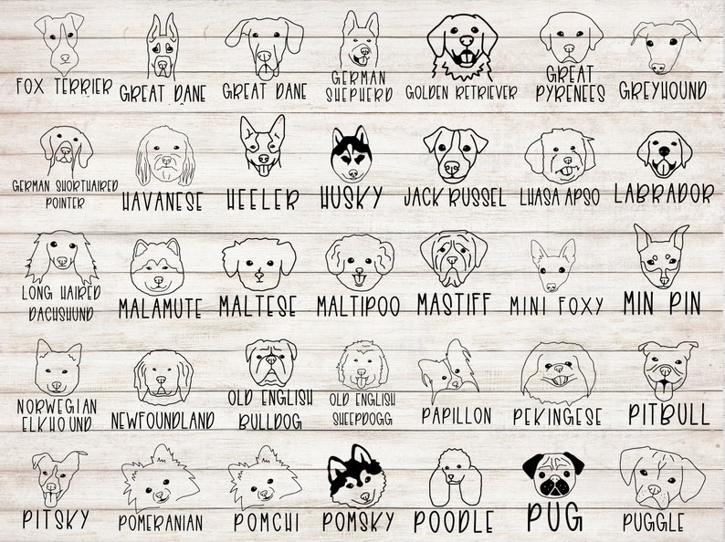 Pu&ograve; includere: Un grafico con illustrazioni in bianco e nero di diverse razze di cani. Ogni razza &egrave; etichettata con il suo nome, tra cui Fox Terrier, Dogue de Bordeaux, Pastore Tedesco, Golden Retriever, Pastore dei Pirenei, Levriero, Bracco Tedesco a Pelo Corto, Bichon Havanais, Wheller, Husky, Jack Russel, Lhasa Apso, Labrador, Teckel a Pelo Lungo, Malamute, Maltese, Maltipoo, Mastino, Mini Foxy, Min Pin, Elkhound Norvegese, Terranova, Bulldog Inglese, Pastore Inglese, Papillon, Pechinese, Pitbull, Pitsky, Pomerania, Pomchi, Pomsky, Barboncino, Carlino, e Carlino.