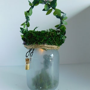 Fairy Lanterns
