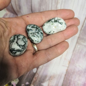 Può includere: Tre pietre lisce di agata muschiata di colore bianco e verde. Le pietre sono di forma ovale e hanno una finitura naturale e lucida.