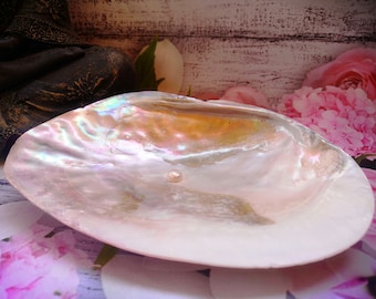 Mother of Pearl shell with pearl, approx. 14/16 cm, incense burner, smudge, palo santo, sage, storage holder