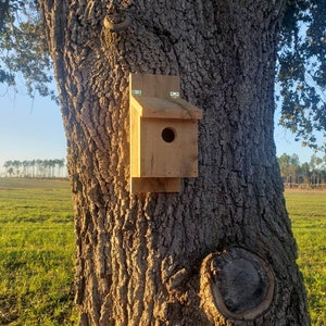 Eastern bluebird birdbox birdhouse made of cypress
