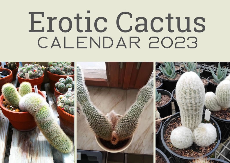 Erotic Cactus Funny Calendar 2023 Funny Wall Art Christmas - Etsy