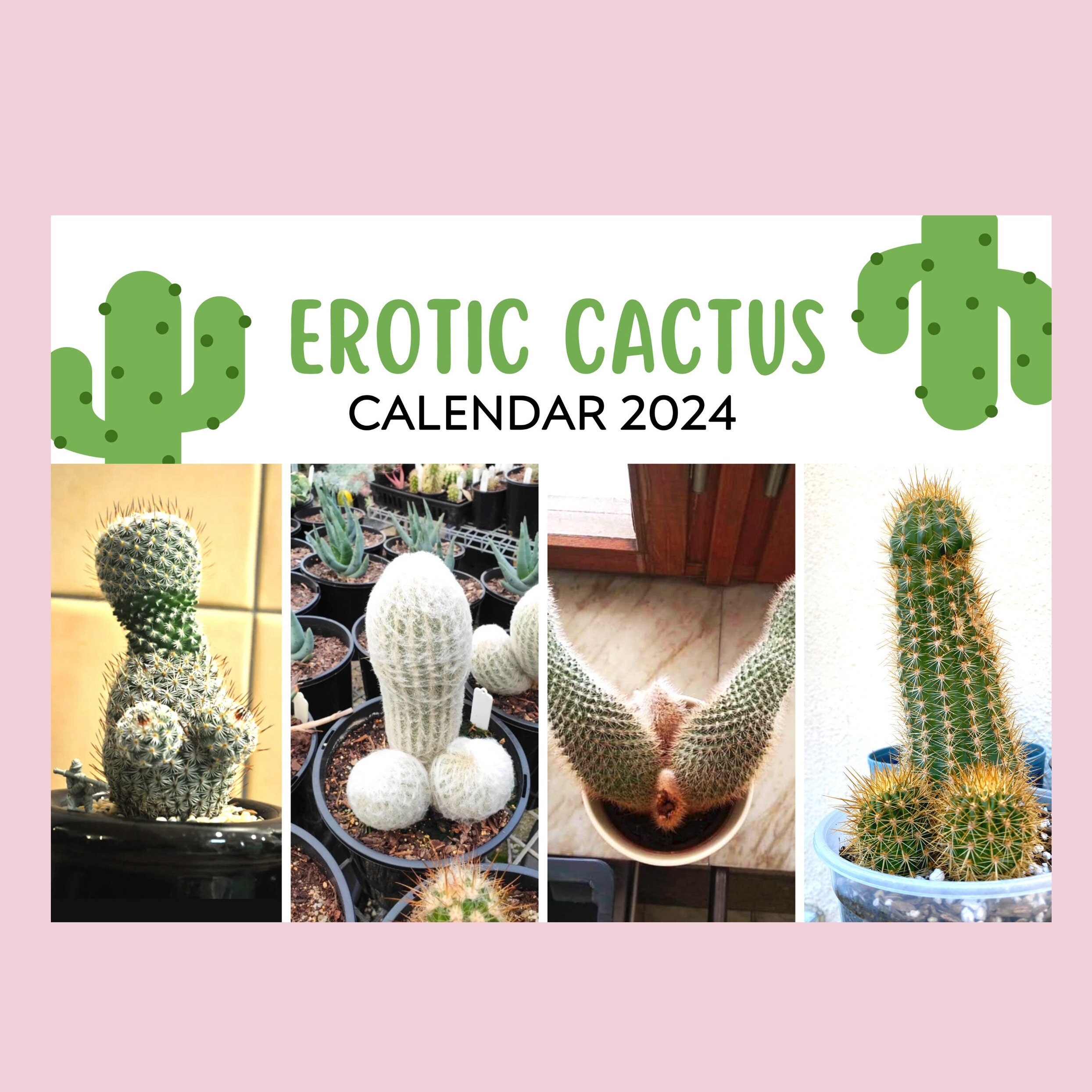 Cacti & Succulent Miniatures Sculpting Kit | Arts, Crafts & DIY Kits, Kids Craft & Crafter Gifts