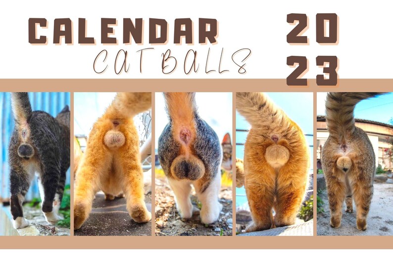Cat Butthole Calendar 2023 17 X 11 Inches Funny Calendar Etsy Hong Kong