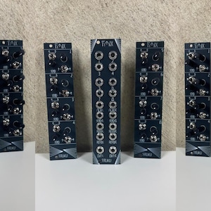 Könnte beinhalten: Eine Sammlung schwarzer modularer Synthesizer-Panels mit silbernen Ein- und Ausgangsbuchsen, nummerierten Anschlüssen und dem in Weiß gedruckten Text Fenix und T-Mix. Jedes vertikale Panel enthält mehrere metallische Verbindungspunkte in Reihen.